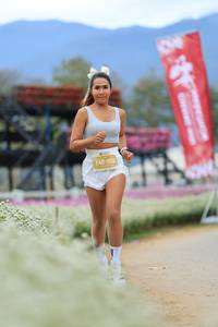 BIB: 
                            <button type="button" onclick="openModal(27895032)" class="btn btn-primary btn-sm float-right btn-popup" data-toggle="modal" data-target=".modal-high-quality">
                        <i class="fas fa-shopping-cart"></i> Add to Cart
                    </button>
                                            <button type="button" onclick="isThisMe(27895032, true)" class="btn btn-success btn-sm float-right btn-popup btn-isme hidden" data-toggle="tooltip" data-placement="bottom" title="นี่คือรูปของคุณใช่ไหม คลิกที่นี่เพื่อเอาเข้าอัลบั้ม">
                        <i class="fas fa-plus"></i> Add to album
                    </button>
                    <button type="button" onclick="isThisMe(27895032, false)" class="btn btn-warning btn-sm float-right btn-popup btn-isnotme hidden">
                        <i class="fas fa-ban"></i> Remove from album
                    </button>